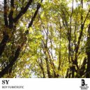 Boy Funktastic - Sy02 (Original mix)