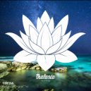 Threymi - Resilencia (Original Mix)