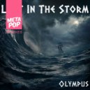 Olympus - Lost In The Storm (Blue Bear Remix)