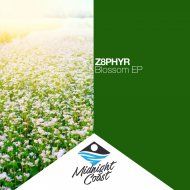 Z8phyR - Umbrellas
