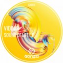 VIDDAR - Sound Of Life (Steven Saeenz Remix)