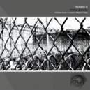 Richard C - Love it (Original Mix)