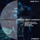 Bob Ray - Berlin Nights