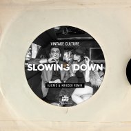 Vintage Culture - Slowing Down