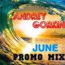 DJ Andrey Gorkin - June Promo Mix 2017 (Original Mix)