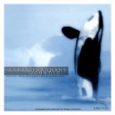 Aural Fragment - Indian Ocean