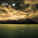 Max Denoise & Angel Falls - Destiny (Alexander Volosnikov Remix)