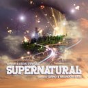 Vanish & Steve Synfull - Supernatural (Brandon Bass Remix)