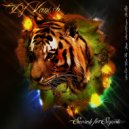 Vanish & Vanish - Take Flight