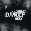 DJ WOLF - Special Сollection #0018 (November 2017)
