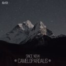 Since Now - Coriander (Original Mix)