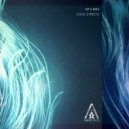 King Peanuts & M43 - Cold Streets (feat. M43) (Original Mix)