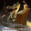 Crocoloko & Double Helix - Journey of cocz