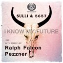 DJ Sulli & 5657 - I Know My Future (Ralph Falcon Instrumental)