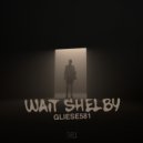 Gliese581 - Wait Shelby