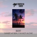 Bert - I\'m not Alone (Original Mix)