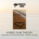 Hybrid Funk Theory - Ready to Go (Original Mix)
