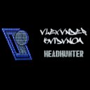 VLEXVNDER KVIDVNOA - AMBIENT