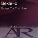 Bekar-b - Gone To The Sky