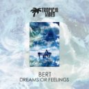 Bert - Dreams or Feelings