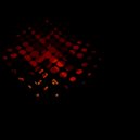 keitfoster - Future