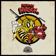 Pigeon Hole - Invasion