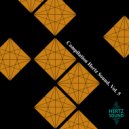 DMITRY HERTZ - Another Possibility (Original Mix)