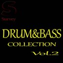V.S.D - Brain Crusher