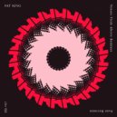 Pat King - Noises From Above (Sakro Remix)