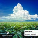 Ametrine - Veridian Lantern (Original Mix)