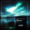 Mohamed Ahmed & Ciree - Phenomena (Original mix)