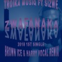 Troika Musiq & Sizwe - Zwafanaka (feat. Sizwe) (Brown Ice & Harry Remix)