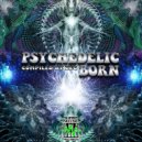 Psychorustle - Ascension (Original Mix)