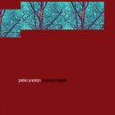 Petter Preston - shift (original mix)