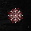 Black Roof - Coma (Spuri Remix)