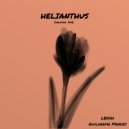 LEDDH & Guilherme Mendes - Helianthus