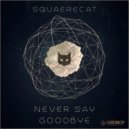 SquaereCat - Nostalgia