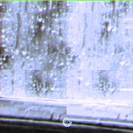 Modern Brothers - Coming