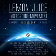 Neeco - Avocado
