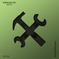 Synth Of Life - Night Surf