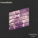 Xenso - Cromosoma
