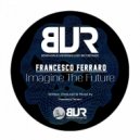 Francesco Ferraro & Greenwolve - Groovy Aspect