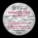 Mehmet Özbek - Here Now (Original Mix)