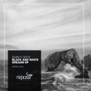 Quincy Ortiz - Black And White Dreams (Original mix)