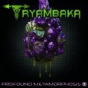 Tryambaka - Void (Original Mix)