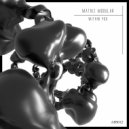 Matriz Modular - Common Reality Point