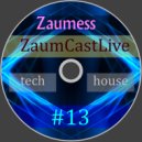 Zaumess - ZaumCastLive #13