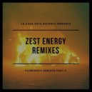 Patrick Baigrie - Zest Energy