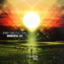 Bunny Tunes, Tiana - Wonderful Life