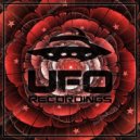 LFB & Technicism - Voices of Nibiru (Original Mix)